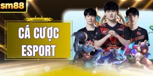 Cá Cược Esport - Nền Tảng Thể Thao Điện Tử Đỉnh Cao Tại SM88