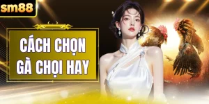 Cách Chọn Gà Chọi Hay - 3 Tiêu Chuẩn Đánh Giá Chi Tiết