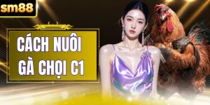 Cách Nuôi Gà Chọi C1 - Phương Pháp Chăm Sóc Chuẩn Cho Sư Kê