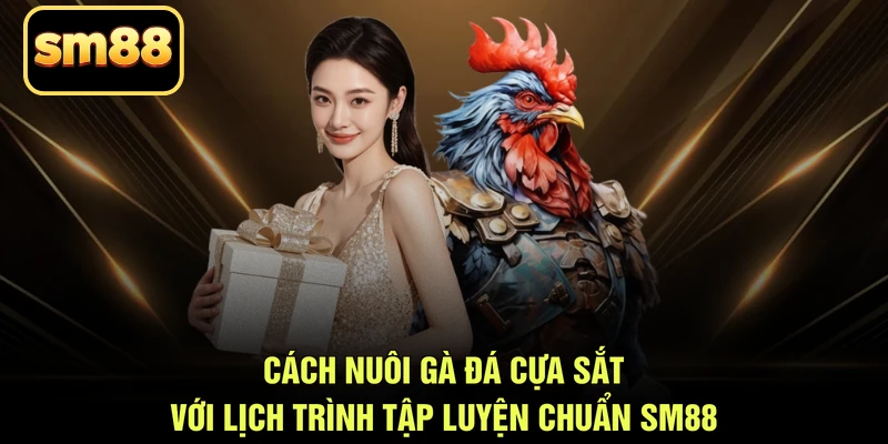Cách nuôi gà đá cựa sắt với lịch trình tập luyện chuẩn SM88