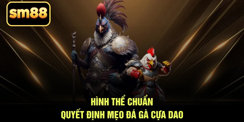 Hình thể chuẩn quyết định mẹo đá gà cựa dao