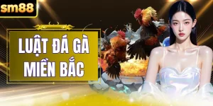 Luật Đá Gà Miền Bắc - Tiêu Chuẩn Tổ Chức Thi Đấu Tại SM88
