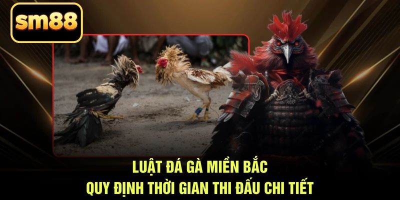 Luật đá gà miền Bắc quy định thời gian thi đấu chi tiết
