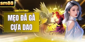 Mẹo Đá Gà Cựa Dao - Phân Tích Kỹ Năng Chọn Chiến Kê Từ SM88