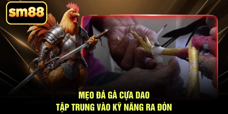 Mẹo đá gà cựa dao tập trung vào kỹ năng ra đòn