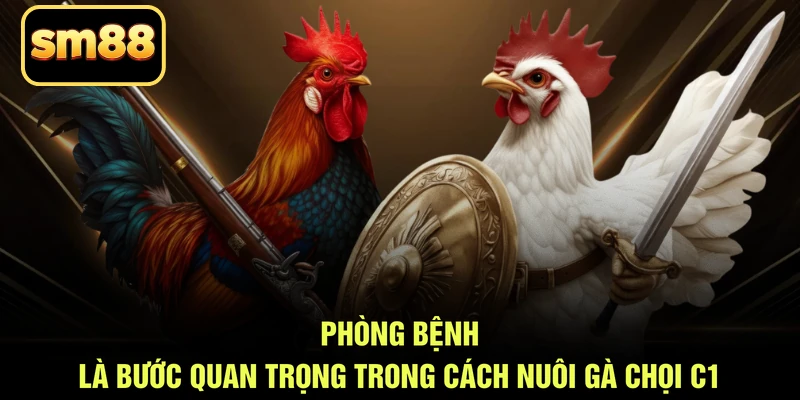 Phòng bệnh là bước quan trọng trong cách nuôi gà chọi C1