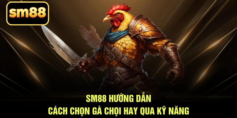 SM88 hướng dẫn cách chọn gà chọi hay qua kỹ năng