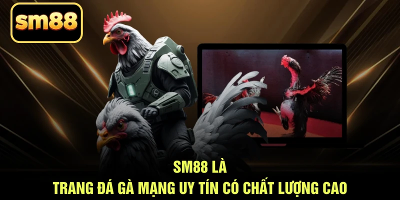 SM88 là trang đá gà mạng uy tín có chất lượng cao