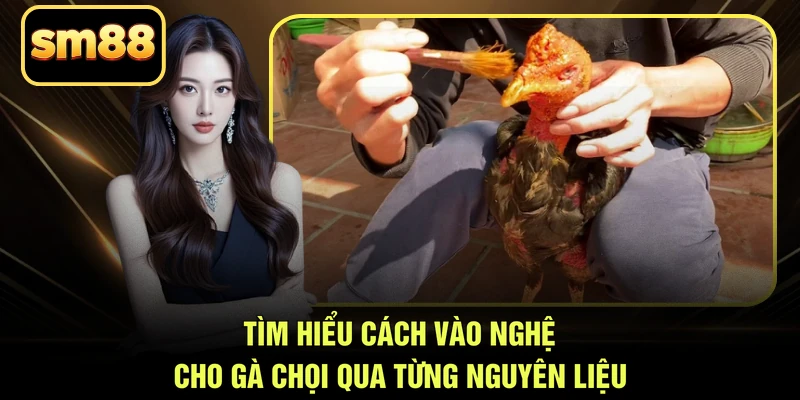 Tìm hiểu cách vào nghệ cho gà chọi qua từng nguyên liệu