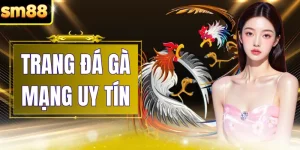Trang Đá Gà Mạng Uy Tín - Tiêu Chuẩn Đánh Giá Tại SM88