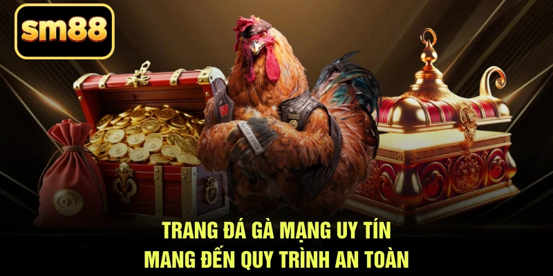 Trang đá gà mạng uy tín mang đến quy trình an toàn